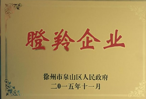 瞪羚企業(yè)